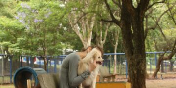 Cade aprova fusão entre Petz e Cobasi com restrições Cade aprova fusão entre Petz e Cobasi com restrições